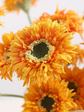 //img.ltwebstatic.com/v4/j/spmp/2026/06/05/34/1780651636cfb93567fff7e1cda4dae1a9d3be7b0b_thumbnail_900x.webp