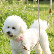 //img.ltwebstatic.com/v4/j/spmp/2026/06/06/05/1780738202bcadc0356739aa7d32dd49d25bb321d1_thumbnail_900x.webp