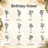 //img.ltwebstatic.com/v4/p/spmp/2026/06/17/13/1781675594345220311a3a64d073a42a60032e73d5_square_thumbnail_900x.webp