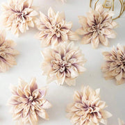 //img.ltwebstatic.com/v4/j/spmp/2026/07/03/ca/17830683181afc7972a046b1dcd856acfec7cacf7b_thumbnail_900x.webp