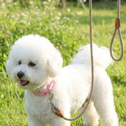 //img.ltwebstatic.com/v4/j/spmp/2026/07/30/c8/178538221182a3c6d510f86ada92438be496710c8c_thumbnail_900x.webp
