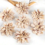 //img.ltwebstatic.com/v4/j/spmp/2026/08/03/35/17857393378b3f3bf84423c5e19aa2c9989e84af6a_thumbnail_900x.webp