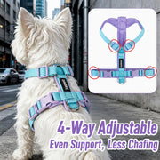//img.ltwebstatic.com/v4/p/spmp/2026/09/02/83/1788335894646464906f92dc4483f494a2553ab6ad_square_thumbnail_900x.webp