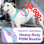 //img.ltwebstatic.com/v4/p/spmp/2026/09/02/4b/1788335935d676a96d53bfbe67ad6bb3ee638fe695_square_thumbnail_900x.webp