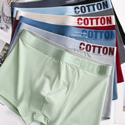 https://img.kwcdn.com/product/fancy/17951707-be80-4894-b01a-f82fa96ad666.jpg