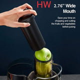 Electric Juicer