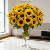 https://img.kwcdn.com/product/fancy/1eef10b8-a1f4-420d-b895-016b87cc7354.jpg
