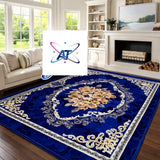 Beautiful Living Room Carpet