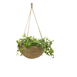 https://img.kwcdn.com/product/fancy/271f4ccd-7cad-4ff5-b581-d4291dcb9f6d.jpg