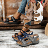 https://img.kwcdn.com/product/fancy/2ee0a905-feb1-4b91-a72e-9ab91c4c529d.jpg