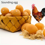 https://img.kwcdn.com/product/20150c2214e/301bf740-959d-4f4d-a369-4b44d92baf13_800x800.jpeg
