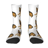 https://img.kwcdn.com/product/open/30ea7897be2a4d86914e7168e37eef17-goods.jpeg