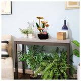 https://img.kwcdn.com/product/fancy/34cd5218-064c-4699-b307-8508810b5721.jpg