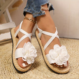 https://img.kwcdn.com/product/fancy/365831af-5188-414a-8214-0dc2729d2a00.jpg