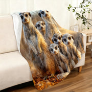 https://img.kwcdn.com/product/open/3bf0f3d07eab41ddb8cfa13c55e31518-goods.jpeg