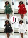 Ladies’ Floral Detail Ruffle Dress