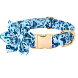 https://img.kwcdn.com/product/fancy/415aa63d-b93e-4d9c-bc85-934865dfa572.jpg