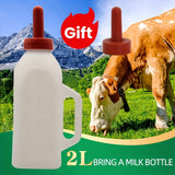 https://img.kwcdn.com/product/fancy/44c01596-4a3d-4c8c-b797-958fdd7adf21.jpg