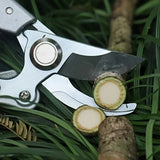 https://img.kwcdn.com/product/open/46e1fac18aa2447983efd2f62044672c-goods.jpeg