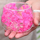 https://img.kwcdn.com/product/fancy/47930b1d-0ebc-4927-bc9f-5a1e4f0a23b4.jpg