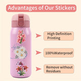https://img.kwcdn.com/product/fancy/48eeb178-572b-4f9d-82de-13f3f67e99f8.jpg