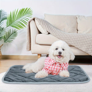 https://img.kwcdn.com/product/open/5114a617b00e4fa29b9ba88b87032434-goods.jpeg
