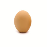 https://img.kwcdn.com/product/fancy/518cb6c0-6f83-466d-b654-99b8a1b9c0b7.jpg