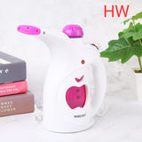 Multifunctional Garment Steamer