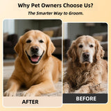 https://img.kwcdn.com/product/fancy/588d68d7-c693-4ab8-9202-dfd807509bd1.jpg