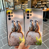 https://img.kwcdn.com/product/2079f65d84/5ccfd7cf-d9d7-4712-b248-479aaac328fd_1000x1000.jpeg