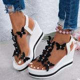 https://img.kwcdn.com/product/fancy/5d1b9c34-0f21-47fa-8c00-b2cceb3a420e.jpg