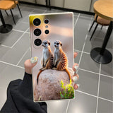 https://img.kwcdn.com/product/2079f65d84/5d86b475-29f1-4c8f-8607-22446a2d0226_1000x1000.jpeg