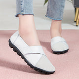 https://img.kwcdn.com/product/fancy/5fcd190d-085c-48ae-84ef-338d185c77e2.jpg