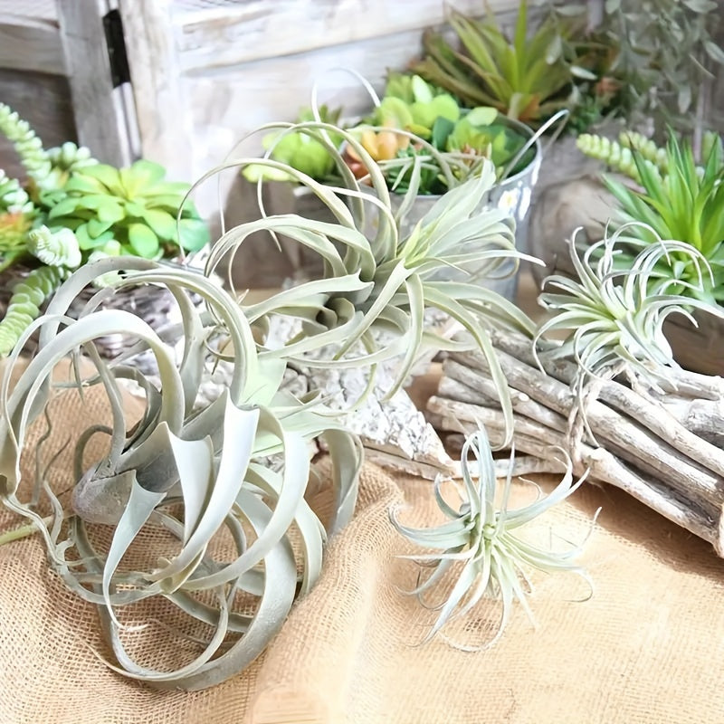 https://img.kwcdn.com/product/fancy/61ae685d-0d77-4c30-a672-bf586a13c0b7.jpg