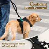 https://img.kwcdn.com/product/fancy/62ca045f-019a-4f6a-a574-b9d7f8ef3952.jpg