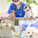 https://img.kwcdn.com/product/fancy/699ba6e1-e20b-4762-b38f-62b308175486.jpg