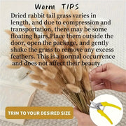 https://img.kwcdn.com/product/fancy/6bec4b4b-a360-42b5-b4cd-33c45b7bc48a.jpg