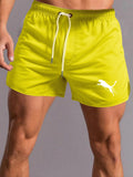 https://img.kwcdn.com/product/open/6fb96d93cfd8444aaf59c53fbb3c4dae-goods.jpeg