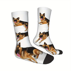 https://img.kwcdn.com/product/open/705028d1b92544c49353a3680865d072-goods.jpeg