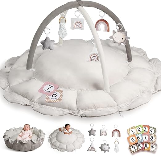 5-in-1 Convertible Baby Play Gym with 6 Toys, Tummy Time Mat for Sensory Development, Baby Activity Center from Newborn to Toddler, Ball Pit, Cat & Dog Bed, Soft Plush Pet Bed, No Ball Included