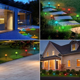 https://img.kwcdn.com/product/fancy/727dbe98-0521-4482-8fea-02ea505d0b18.jpg