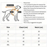 https://img.kwcdn.com/product/pet/762b6f1561179094f351b4e195b9b37f1699277365553.jpg