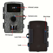 https://img.kwcdn.com/product/fancy/76d64d31-3ab1-43fe-9474-b39a92ee91a6.jpg