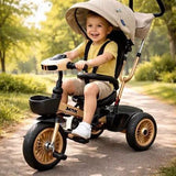 Deluxe 4-in-1 Growing Trike