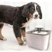 Pet Water Fountain