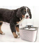 Pet Water Fountain