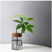 https://img.kwcdn.com/product/open/7759b88ebc4e42ab991ae1fdf8c28bb9-goods.jpeg