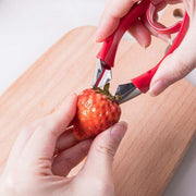 Fruit Stem Huller