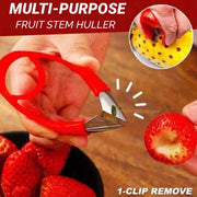 Fruit Stem Huller