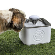 Pet Water Fountain